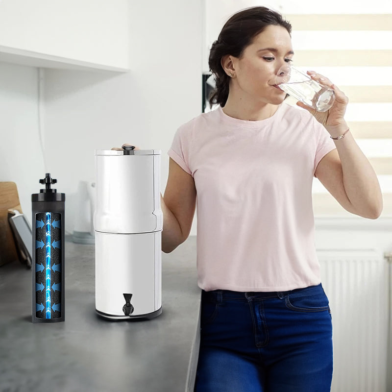 Compatible Replacement Filter for Berkey Countertop Water Purification System - BB9 - 2 Activated Carbon Water Filter Cartridge V.I.P Digital Presence