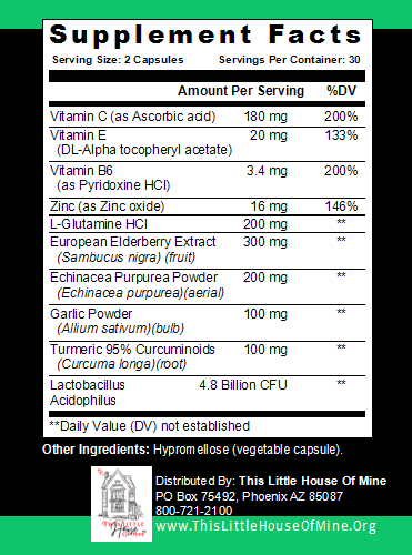 DAILY ARMOR Immune Support Supplement THIS LITTLE HOUSE OF MINE ONLINE STORE