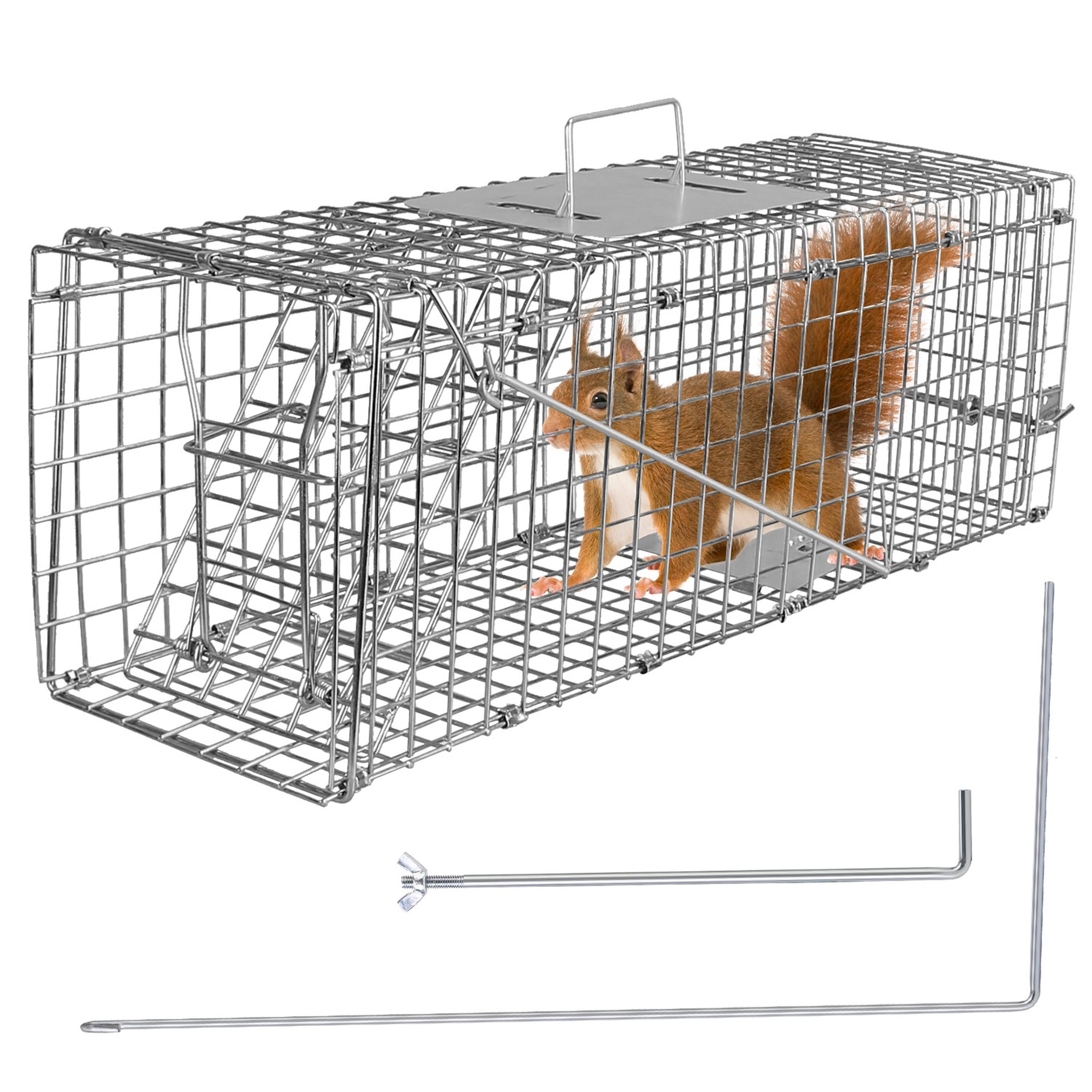 Humane Cat Trap Cage Catch Release Live Animal Rodent Cage Collapsible Galvanized Wire for Small Raccoons Beavers Groundhogs Foxes Armadillos VYSN