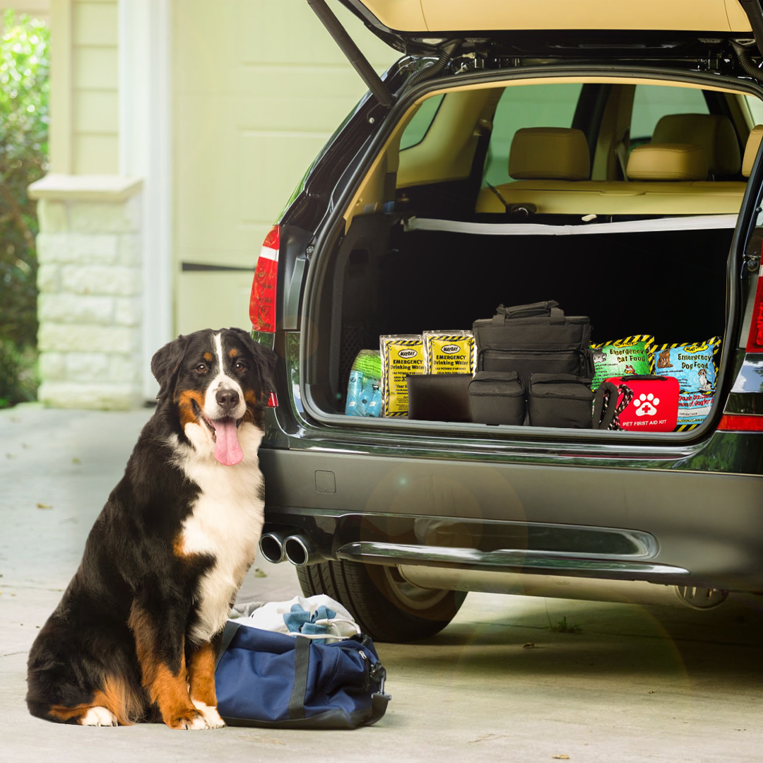 The Safe Pet Kit: Must-Have Pet Kit for Disaster Situations Entropy Survival